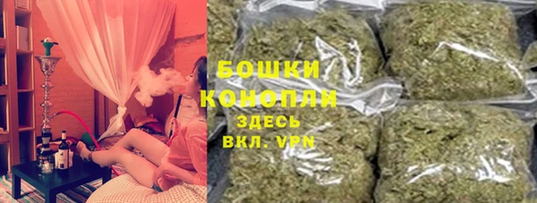 прущие грибы Белоозёрский