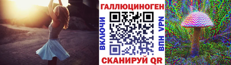 дарнет шоп  Заинск  Псилоцибиновые грибы мухоморы 